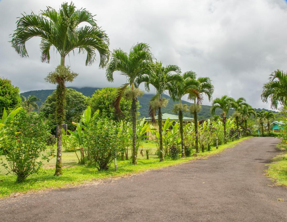 Hotel & Hot Springs Sueno Dorado La Fortuna Zewnętrze zdjęcie